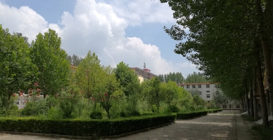 多媒体楼前花园
