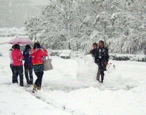 校园雪景（三）