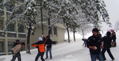 校园雪景（二）