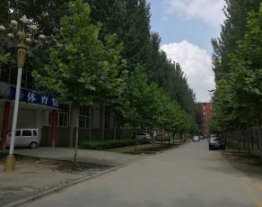 体育馆