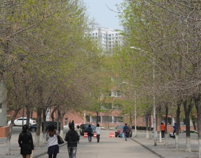 春景（三）