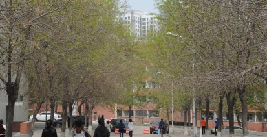 春景（三）