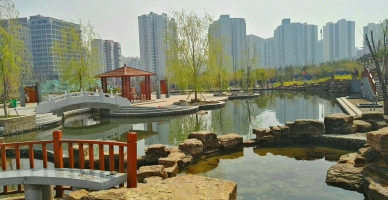 校园人工湖（二）