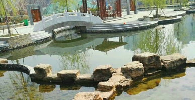 校园人工湖（三）